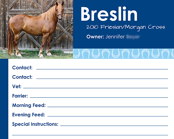 Breslin Stall Card_small.jpg