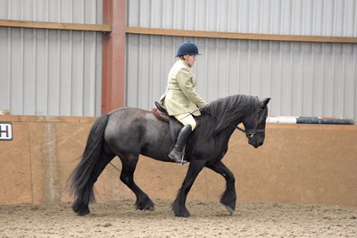 _6104452{Dressage Prelin 7 (2).jpg