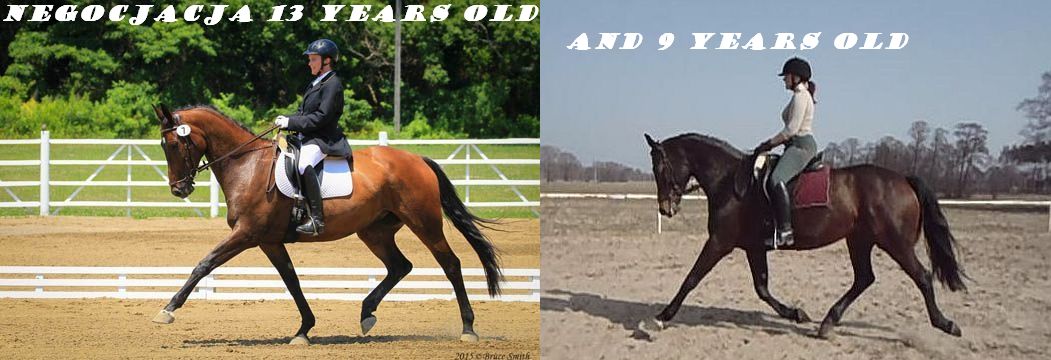 Comparison -  extended trot.jpg