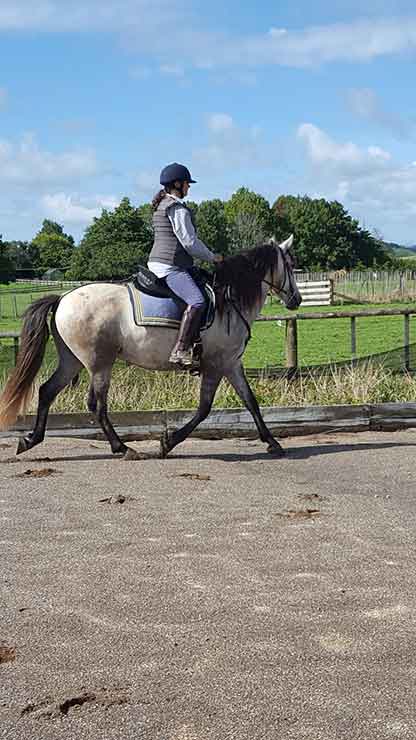 zeus flatwork.jpg