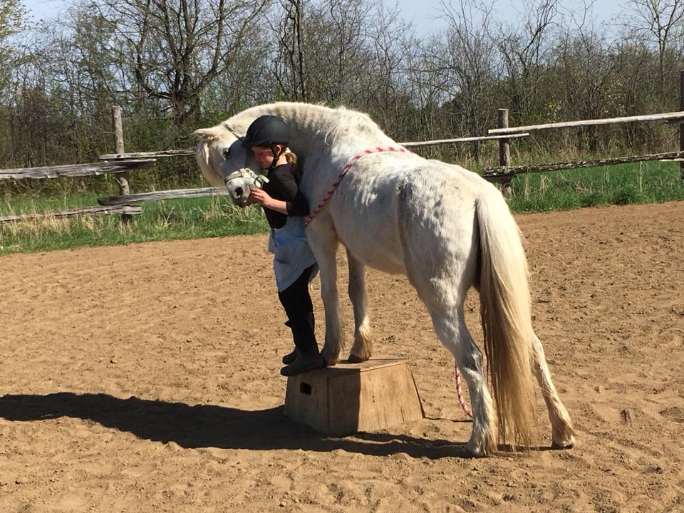 2018May12 TrickHorseClinic_Sera3.jpg