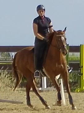 July Canter 3.JPG