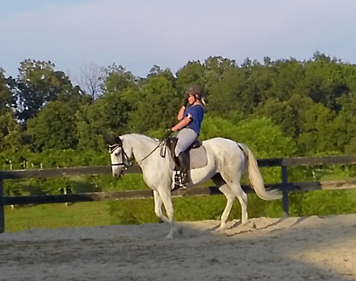 sweaty one handed canter.jpg