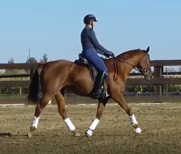 Trot October Lesson.JPG