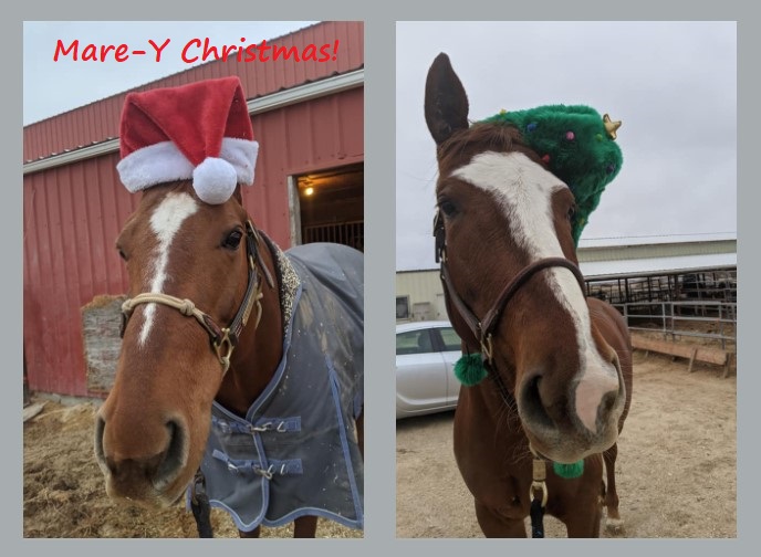 Mare-Y Christmas.jpg