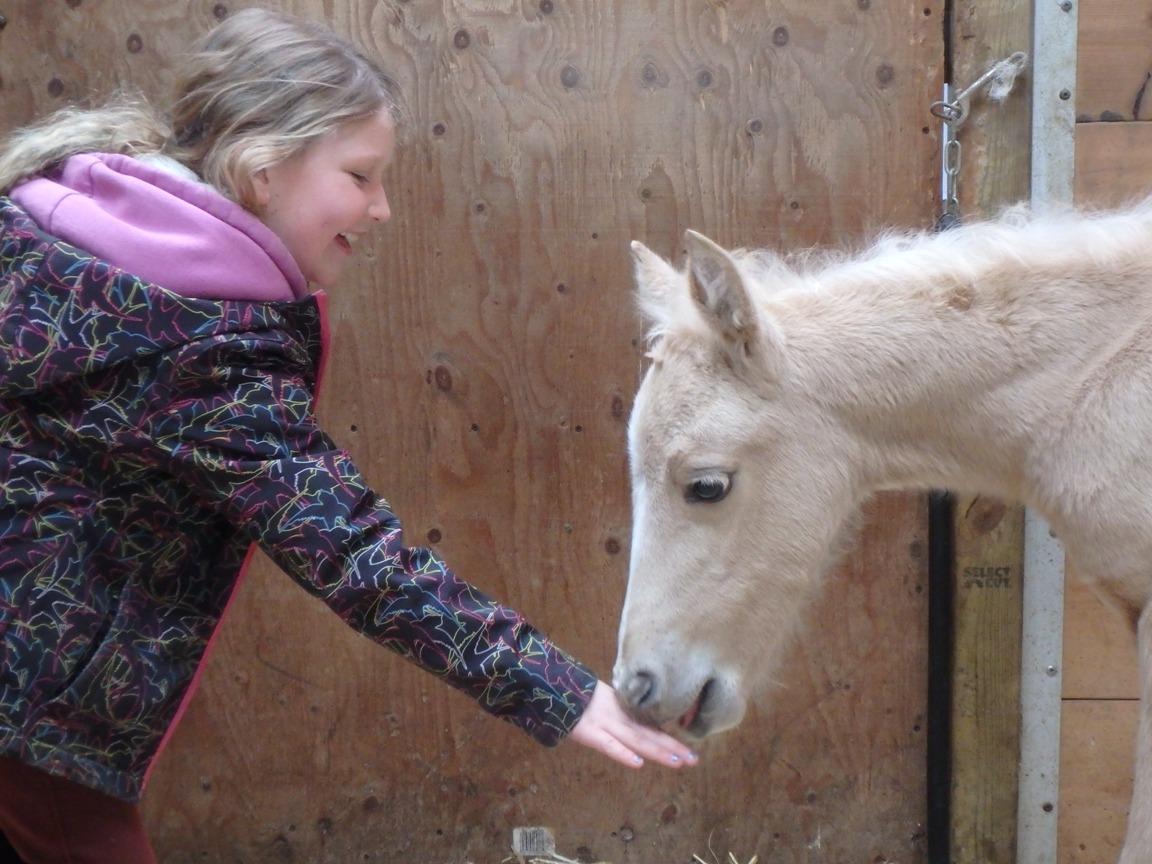 2016Mar26 AgFoal6Days6sm.JPG